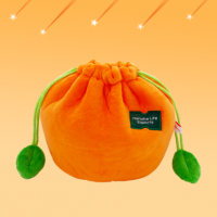 [HLE] 26 HLE Orange Membership Pouch