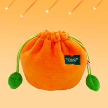 [HLE] 26 HLE Orange Membership Pouch